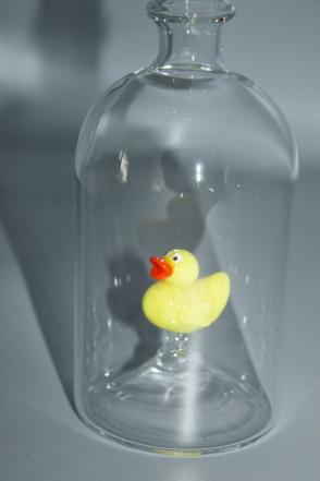 Glasflasche Geschenkflasche mit Sujet Quitschente gelb